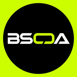 BSCDA Fantasy Logo